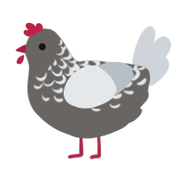 A grey and mist chicken with a half-lace pattern