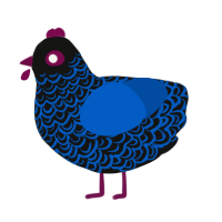 Midnight Lover, a black and ultramarine chicken with a double-lace pattern