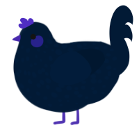 Blueberry, a tumblr chicken with a speckle pattern
