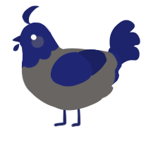 A grey and navy chicken with a head pattern