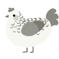 A white and ash chicken with a half-lace pattern