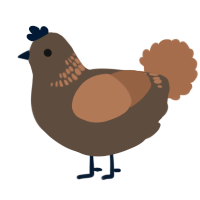 A bark and brown chicken with a neck-band pattern