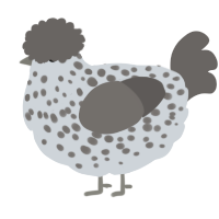 A mist and grey chicken with a speckle pattern