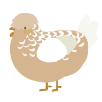 A beige and white chicken with a half-lace pattern