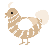 A beige and cream chicken with a bar pattern