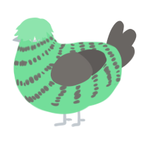 A spring and grey chicken with a bar pattern