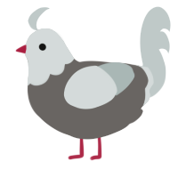 A grey and silver chicken with a head pattern