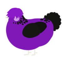 A violet and black chicken with a neck-speckle pattern