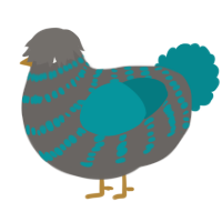 A grey and teal chicken with a bar pattern