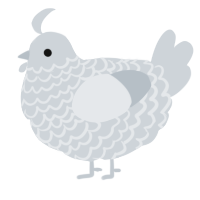 A mist chicken with a lace pattern