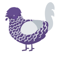 A overcast and mist chicken with a lace pattern
