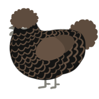 Jeremy, a black and bark chicken with a lace pattern