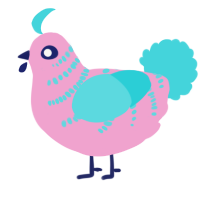 A pink and aqua chicken with a half-bar pattern