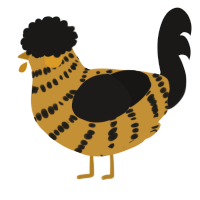 A gold and sable chicken with a bar pattern