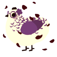 Hyacinth, a white and overcast chicken with a half-lace pattern