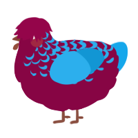 A maroon and sky chicken with a half-lace pattern