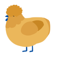 A honey and orange chicken with a head pattern