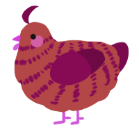 A red and wine chicken with a bar pattern