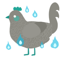 A ash chicken with a double-lace pattern