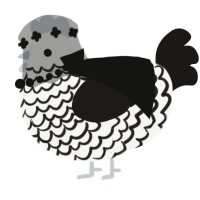 A white and sable chicken with a lace pattern