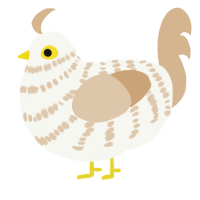A white and beige chicken with a bar pattern