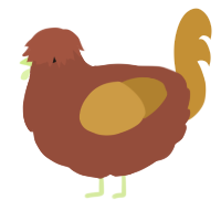 A russet and gold chicken