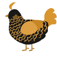 A sable and orange chicken with a lace pattern