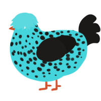 Albrecht, a aqua and sable chicken with a speckle pattern