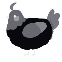 A white and ash chicken with a head pattern