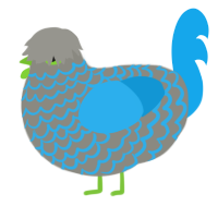 Graphite Pencil, a ash and sky chicken with a lace pattern