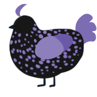 A black and indigo chicken with a speckle pattern