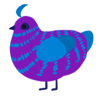 A violet and sapphire chicken with a bar pattern