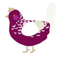 holly berry, a wine and white chicken with a half-lace pattern