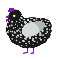 A sable and silver chicken with a speckle pattern
