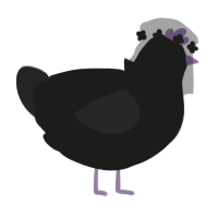 Fairlight, a black and sable chicken