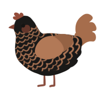 A sable and brown chicken with a lace pattern