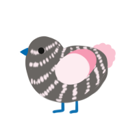 A grey and rose chicken with a bar pattern