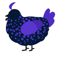 A tumblr and indigo chicken with a speckle pattern