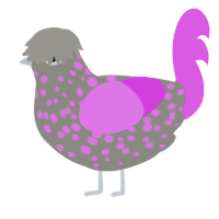 A ash and orchid chicken with a speckle pattern