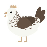 A white and bark chicken with a half-lace pattern