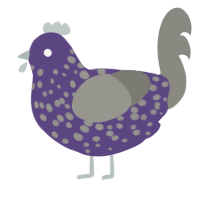 A overcast and ash chicken with a speckle pattern
