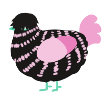 A sable and pink chicken with a bar pattern