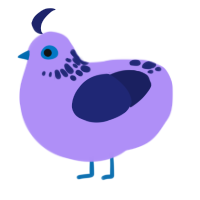 A lilac and navy chicken with a neck-speckle pattern