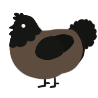 breadnut, a bark and black chicken with a head pattern
