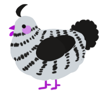 A mist and sable chicken with a bar pattern