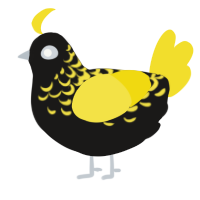 A sable and yellow chicken with a half-lace pattern