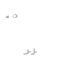 FLASHBANG, a silver and white chicken with a half-lace pattern