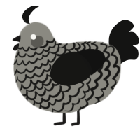 A ash and black chicken with a lace pattern