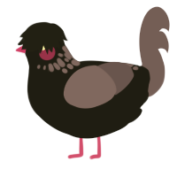A sable and overcast chicken with a neck-speckle pattern