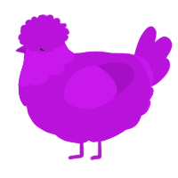 A amethyst chicken with a head pattern